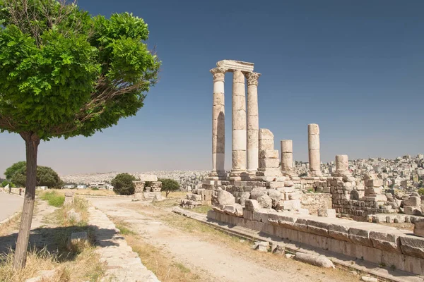 Μια Όμορφη Θέα Της Αρχαίας Ακρόπολης Πολλά Ερείπια Στο Αμάν — Φωτογραφία Αρχείου