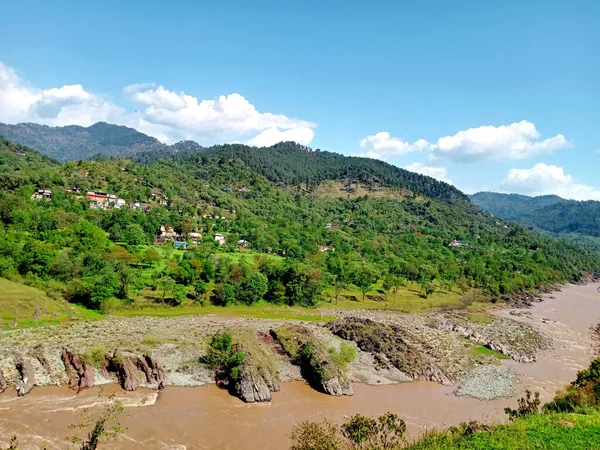 Une Belle Vue Sur Rivière Des Arbres Verts Frais Des — Photo