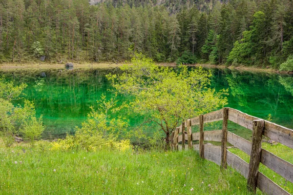 Uma Vista Panorâmica Uma Cerca Madeira Perto Lago Verde Floresta — Fotografia de Stock