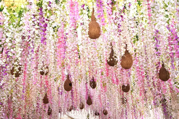 A natural view of hummingbirds nests hanging on the wisteria flowers