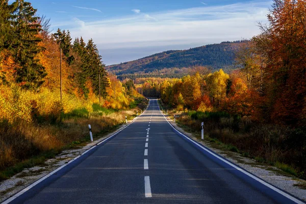 Una Splendida Vista Dell Autostrada Vuota Insieme Agli Alberi Autunnali — Foto Stock