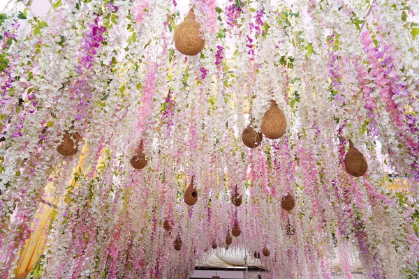 A natural view of hummingbirds nests hanging on the wisteria flowers