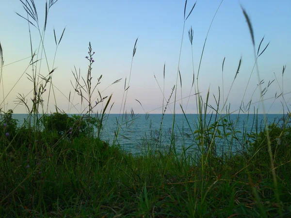 Den Vackra Utsikten Över Havet Genom Gräset — Stockfoto