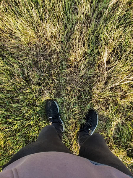 Вертикальный Снимок Мужчины Стоящего Траве Ногами Кадре — стоковое фото