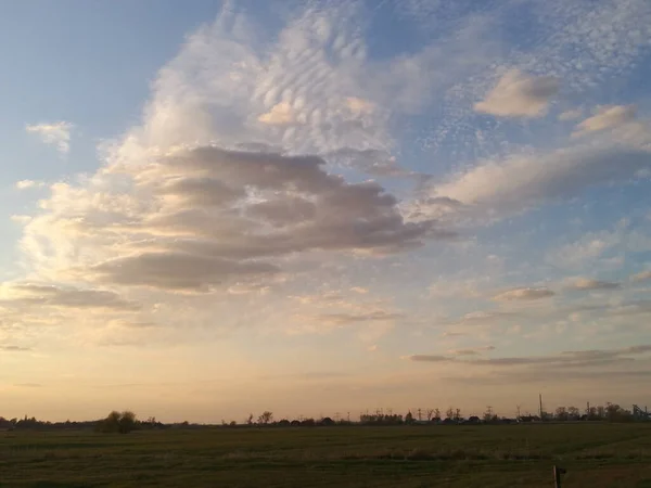 Ein Schöner Blick Auf Eine Baumreihe Auf Der Grünen Wiese — Stockfoto