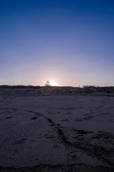 Colpo Verticale Della Spiaggia Sotto Cielo Limpido Tramonto — Foto Stock