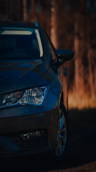 Een Verticaal Schot Van Een Grijze Auto Geparkeerd Buiten Schaduw — Stockfoto