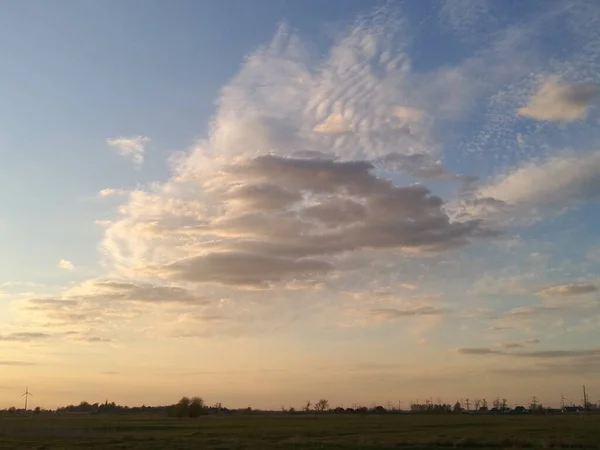 Ein Schöner Blick Auf Eine Baumreihe Auf Der Grünen Wiese — Stockfoto