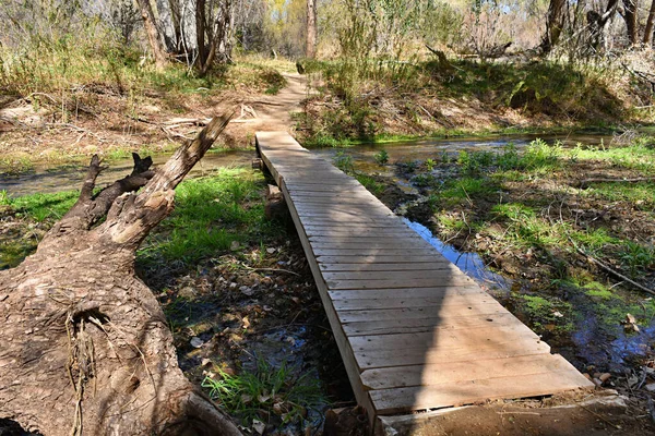 Eine Hölzerne Fußgängerbrücke Überspannt Einen Kleinen Bach Und Sumpf — Stockfoto
