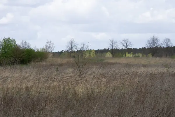 Una Vista Naturale Campo Asciutto Campagna — Foto Stock