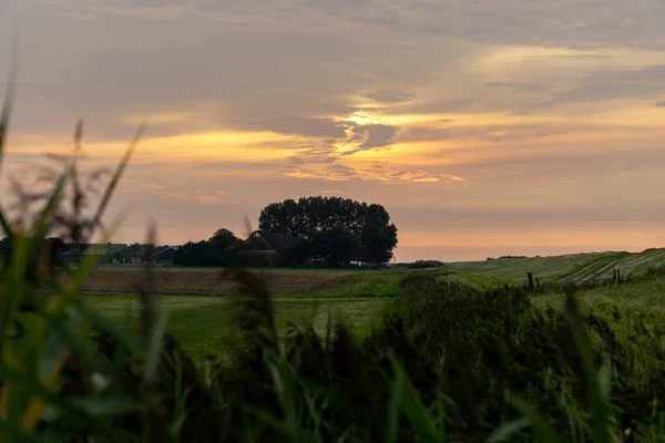 Büyülü Renkli Bir Günbatımında Ağaçlarla Çevrili Yeşil Bir Çayırın Manzaralı — Stok fotoğraf