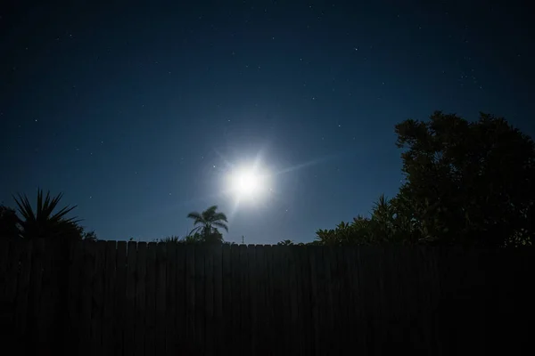 Hermoso Plano Paisaje Bajo Cielo Nocturno Estrellado —  Fotos de Stock