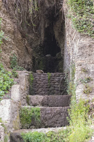 Colpo Verticale Vecchie Scale Alla Fortezza Alhambra Granada Andalusia Spagna — Foto Stock