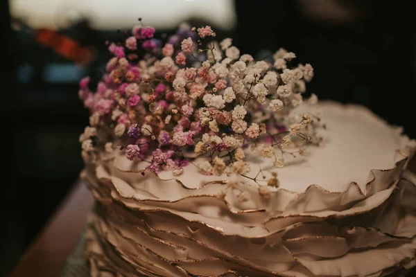 자연적 케이크를 클로즈업 — 스톡 사진