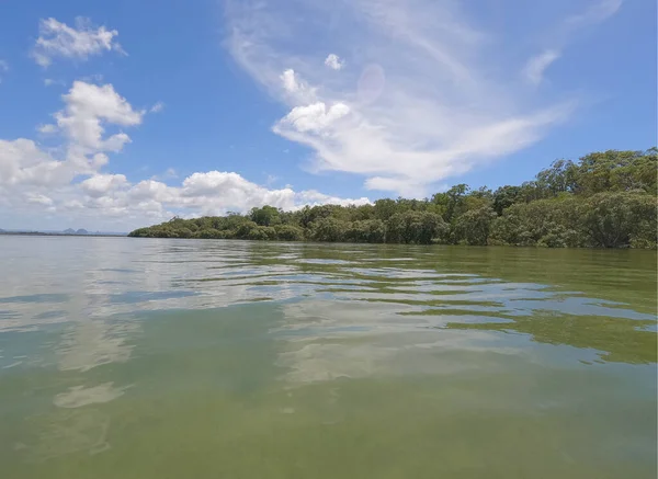 View Shoreline Mangroves Kayaking Trip Bribie Island Queensland Australia — Stock Photo, Image