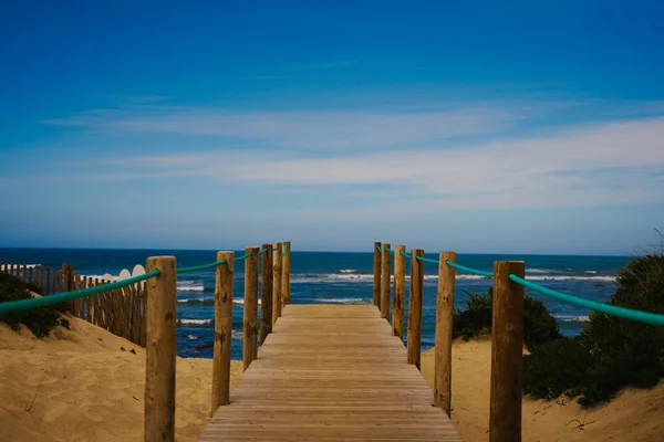 Ein Malerischer Blick Auf Einen Holzweg Zum Meer — Stockfoto