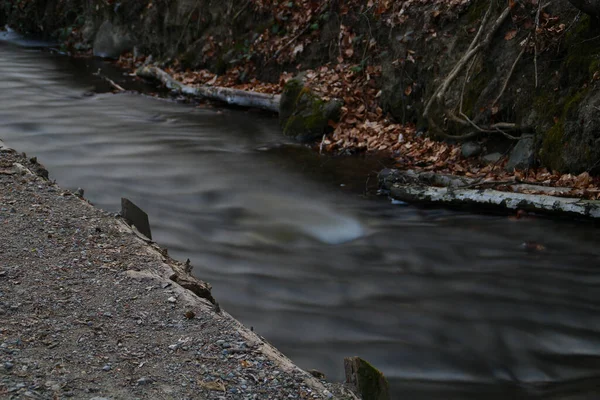 Una Hermosa Toma Río Bosque —  Fotos de Stock