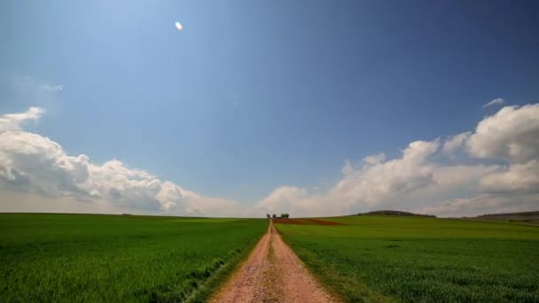 Hermoso Paisaje Con Campo Trigo Cielo Nublado — Vídeo de stock