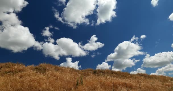 Bellissimo Paesaggio Con Nuvole Cielo Blu — Video Stock