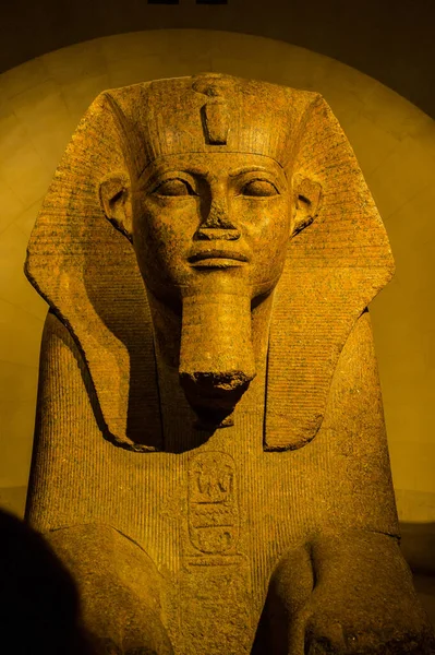 Zdjęcie Bliska Rzeźby Egipskiego Wielkiego Sfinksa Luwrze Paryż Francja — Zdjęcie stockowe