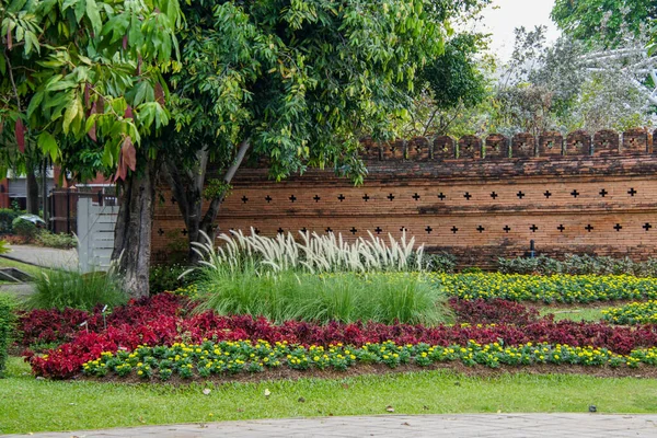 Krásný Royal Park Rajapruekin Mae Hia Thajsko — Stock fotografie