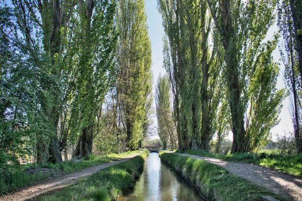 Vodní Kanál Laguna Duero Obklopen Krásnými Stromy — Stock fotografie