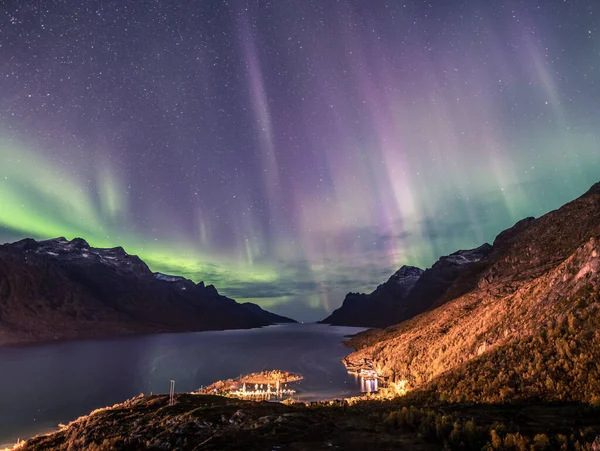 녹색의 이하늘을 가로지르며 북부의 놀라운 북극광 — 스톡 사진