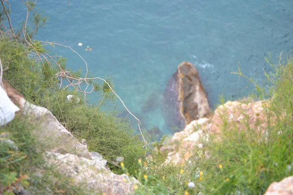 Μια Κορυφαία Εικόνα Μιας Γαλάζιας Θάλασσας Και Ενός Βράχου Φυτά — Φωτογραφία Αρχείου