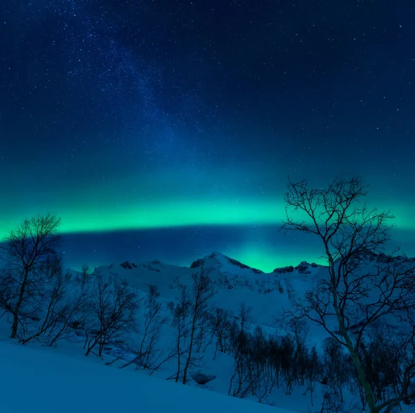 Amazing Display Northern Lights Seen North Bright Green Band Dancing — Stock Photo, Image