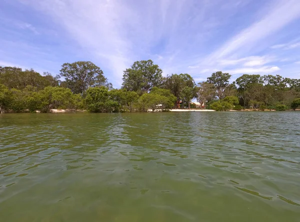 Vista Delle Mangrovie Costiere Viaggio Kayak Bribie Island Queensland Australia — Foto Stock