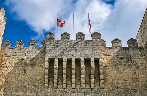 Het 13E Eeuwse Middeleeuwse Kasteel Montealegre Campos Valladolid Castilië Leon — Stockfoto