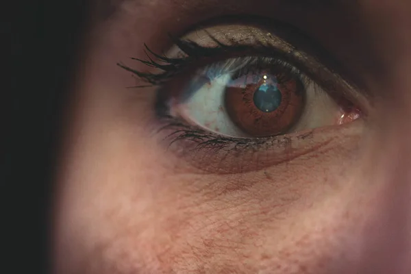 Een Close Shot Van Een Jonge Vrouw Bruin Oog — Stockfoto