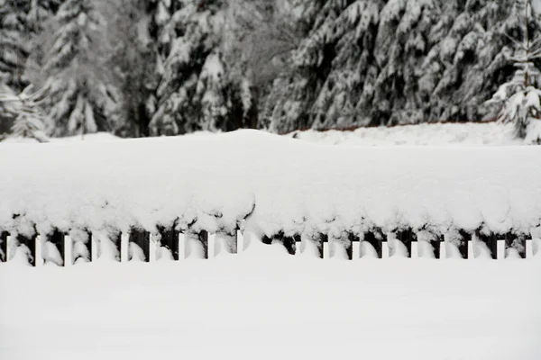 Eine Nahaufnahme Von Einem Metallzaun Und Schneebedeckten Bäumen Perfekt Für — Stockfoto