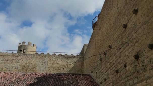 Castillo Medieval Del Siglo Xiii Montealegre Campos Valladolid Castilla León — Vídeos de Stock