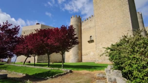 4Kのスペイン モンテレグレ カンポス バジャドリード カスティーリャ レオン州の13世紀の中世の城 — ストック動画