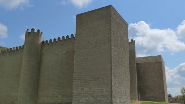 Castello Medievale Del Xiii Secolo Montealegre Campos Valladolid Castiglia Leon — Video Stock