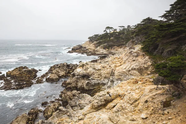 Der Einsame Zypressen Und Kieselstrand Del Monte Forest Monterey Kalifornien — Stockfoto