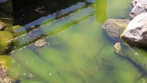 Utsikt Över Den Gröna Älven Som Rinner Stenar Sidan Topeka — Stockvideo