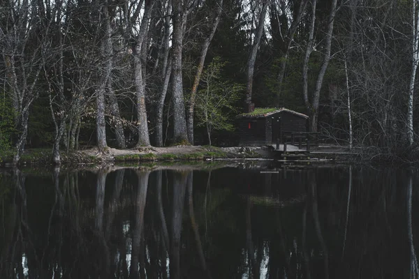 Лесная Деревянная Хижина Альпах Озера — стоковое фото