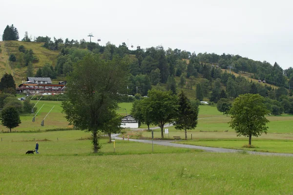 Krajobraz Zielonymi Łąkami Drzewami Lecie Niemczech — Zdjęcie stockowe