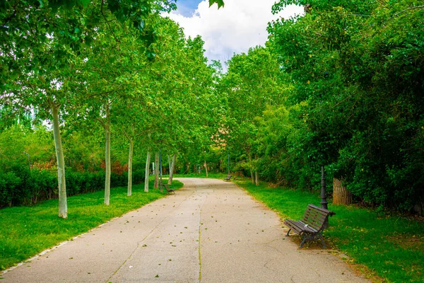 Uma Estrada Com Banco Parque Verde Durante Dia Sol — Fotografia de Stock
