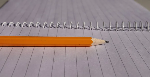 Ένα Πορτοκαλί Μολύβι Ένα Άδειο Ανοιχτό Σημειωματάριο Δίπλα Στη Σπειροειδή — Φωτογραφία Αρχείου