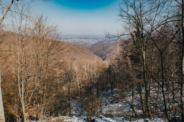 Paesaggio Primaverile Con Neve Che Scioglie Macchie Scongelate Nella Foresta — Foto Stock