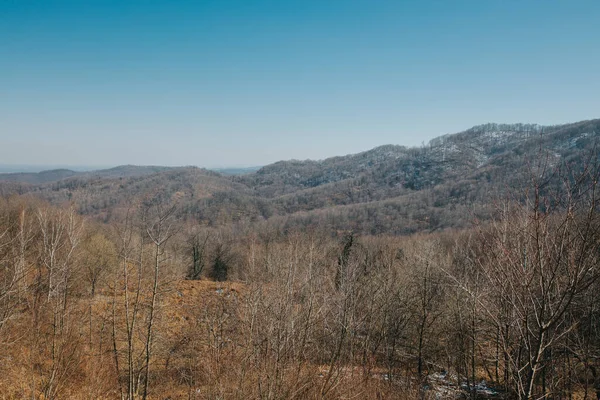 Jarní Krajina Tavícím Sněhem Rozmrazenými Skvrnami Lese — Stock fotografie