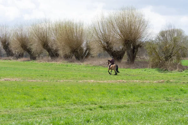 Een Schilderachtig Uitzicht Van Een Man Rijdt Een Paard Het — Stockfoto