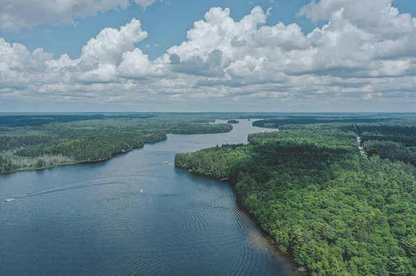 Veduta Aerea Fiume Circondato Foreste Con Alberi Densi Sotto Cielo — Foto Stock