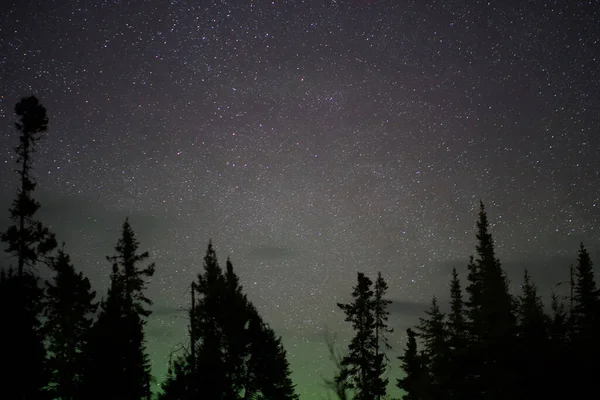 Aerial Shot Skyscape Dozens Stars Silhouettes Treetops Night — Stock Photo, Image