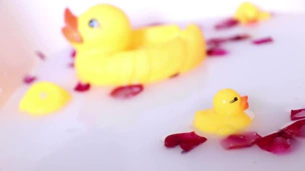 Primer Plano Patos Amarillos Agua Con Hojas Rosa Para Bebé — Vídeo de stock