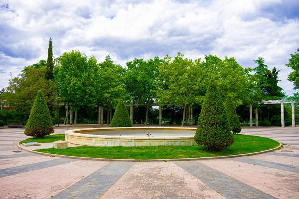 Hermoso Parque Acogedor Con Arbustos Decorativos Árboles — Foto de Stock