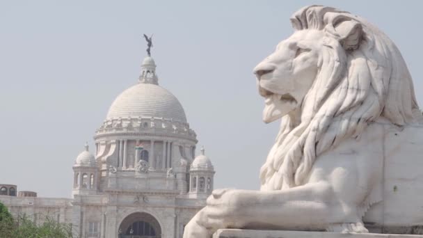 Close Van Het Leeuwenbeeld Bij Het Victoria Memorial Kolkata Een — Stockvideo